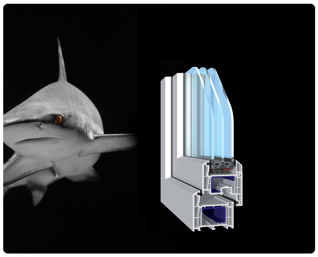 Linea Shark Evolution 73